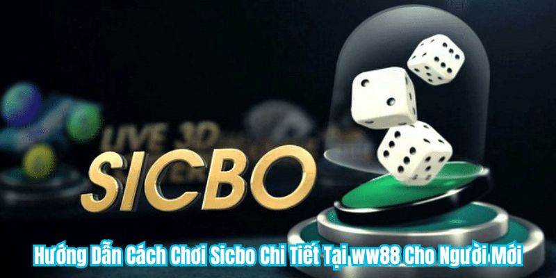 Hướng Dẫn Cách Chơi Sicbo Chi Tiết Tại WW88 Cho Người Mới