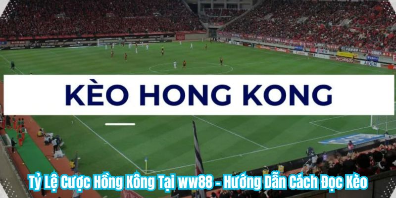 Tỷ Lệ Cược Hồng Kông Tại WW88 - Hướng Dẫn Cách Đọc Kèo