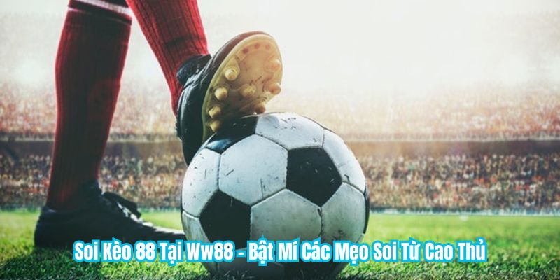 Soi Kèo 88 Tại WW88 - Bật Mí Các Mẹo Soi Từ Cao Thủ